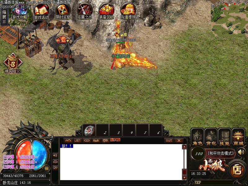 小狼复古怪物地图