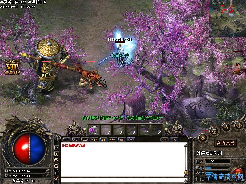 神龙赤月寻宝图5