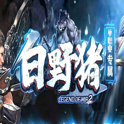 新白野猪专属 单职业传奇版本 - GOM引擎