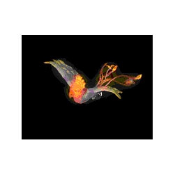 小凤凰 - 复古传奇怪物素材